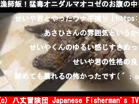 漁師飯！猛毒オニダルマオコゼのお腹の中を鍋にブッ込んでみたら...  (c) 八丈冒険団 Japanese Fisherman's TV