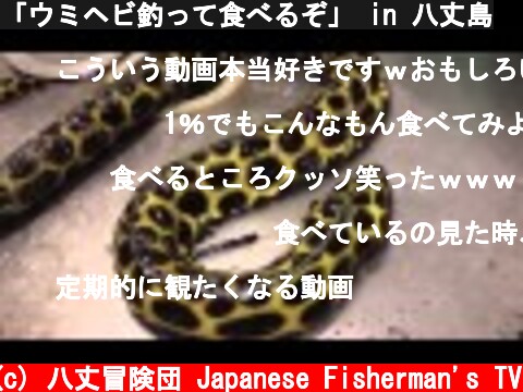 「ウミヘビ釣って食べるぞ」 in 八丈島  (c) 八丈冒険団 Japanese Fisherman's TV