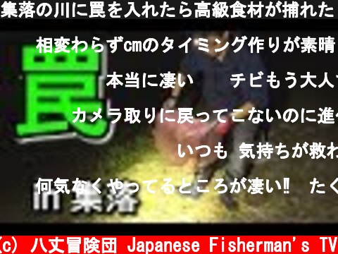 集落の川に罠を入れたら高級食材が捕れた！  (c) 八丈冒険団 Japanese Fisherman's TV
