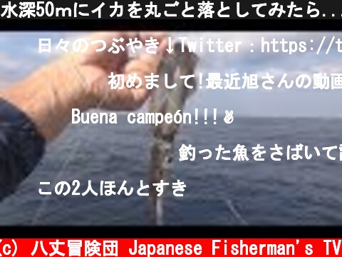 水深50ｍにイカを丸ごと落としてみたら...  (c) 八丈冒険団 Japanese Fisherman's TV