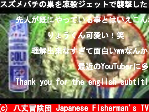 スズメバチの巣を凍殺ジェットで襲撃したら…  (c) 八丈冒険団 Japanese Fisherman's TV