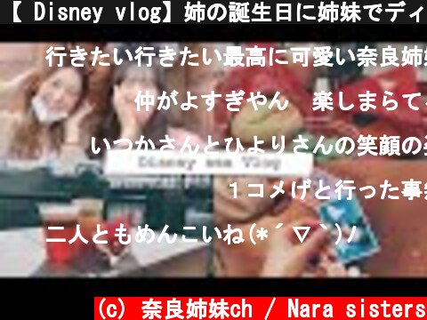 【 Disney vlog】姉の誕生日に姉妹でディズニーデート1泊2日旅行〜2日目〜  (c) 奈良姉妹ch / Nara sisters