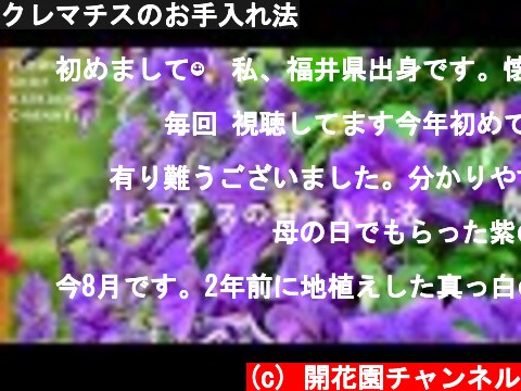 クレマチスのお手入れ法  (c) 開花園チャンネル