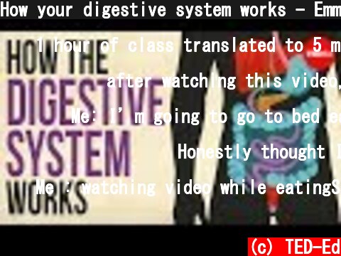 How your digestive system works - Emma Bryce  (c) TED-Ed