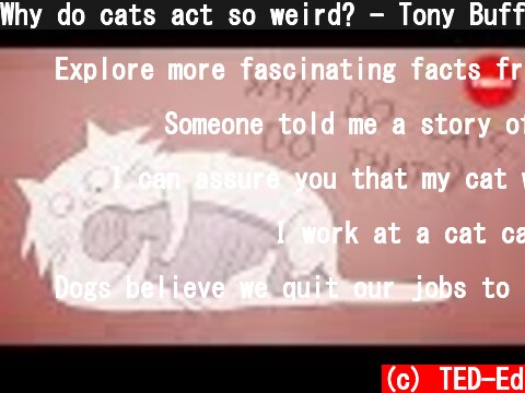 Why do cats act so weird? - Tony Buffington  (c) TED-Ed