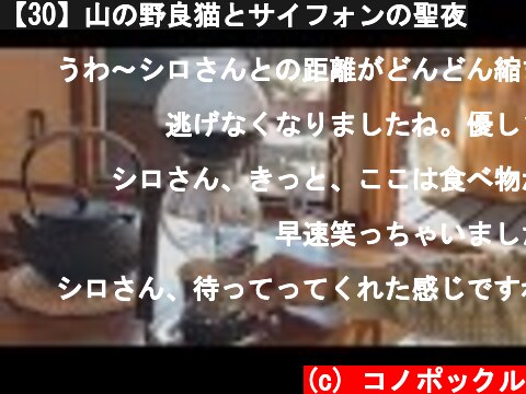 【30】山の野良猫とサイフォンの聖夜  (c) コノポックル