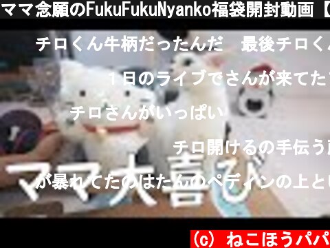 ママ念願のFukuFukuNyanko福袋開封動画【うちの猫も各所に隠れてます】  (c) ねこほうパパ