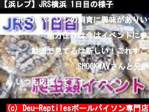 【浜レプ】JRS横浜 1日目の様子  (c) Deu-Reptilesボールパイソン専門店