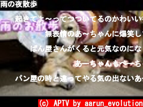 雨の夜散歩  (c) APTV by aarun_evolution