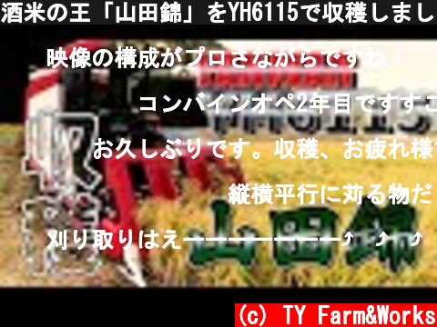 酒米の王「山田錦」をYH6115で収穫しました。  (c) TY Farm&Works