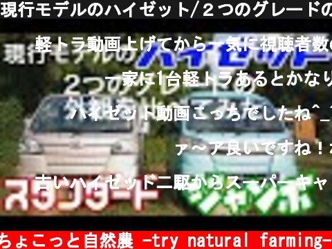 現行モデルのハイゼット/２つのグレードの外観を比較【軽トラレビュー】2019年10月16日  (c) ちょこっと自然農 -try natural farming-