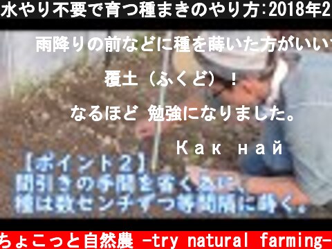 水やり不要で育つ種まきのやり方:2018年2月26日農業記録  (c) ちょこっと自然農 -try natural farming-