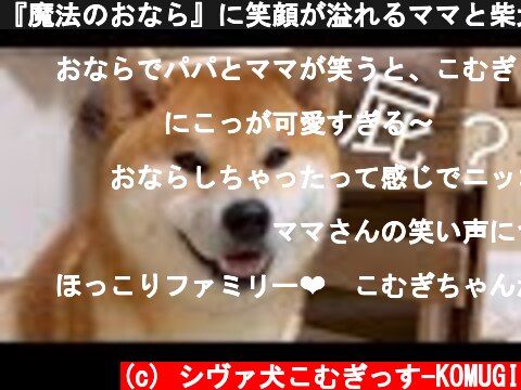 『魔法のおなら』に笑顔が溢れるママと柴犬　Mom and Shiba Inu with a smile on "Magic Fart"  (c) シヴァ犬こむぎっす-KOMUGI