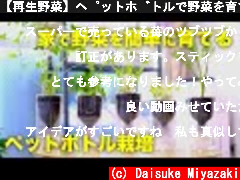 【再生野菜】ペットボトルで野菜を育てる方法と底面給水式栽培容器の作り方【リボベジ】  (c) Daisuke Miyazaki