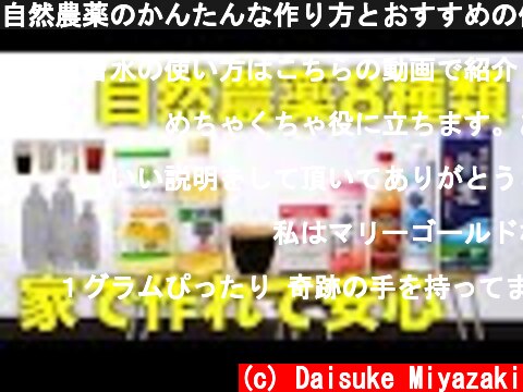 自然農薬のかんたんな作り方とおすすめの使い方,注意点と安全性【家庭で安心手作り】  (c) Daisuke Miyazaki