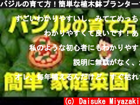 バジルの育て方！簡単な植木鉢プランターでのハーブ栽培方法  (c) Daisuke Miyazaki