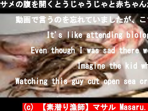 サメの腹を開くとうじゃうじゃと赤ちゃんが。。食べてみると衝撃の味だった。。  (c) 【素潜り漁師】マサル Masaru.