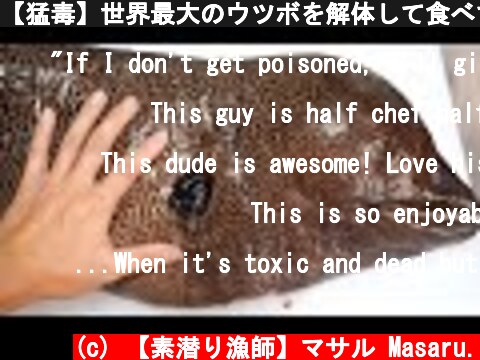 【猛毒】世界最大のウツボを解体して食べてみた  (c) 【素潜り漁師】マサル Masaru.