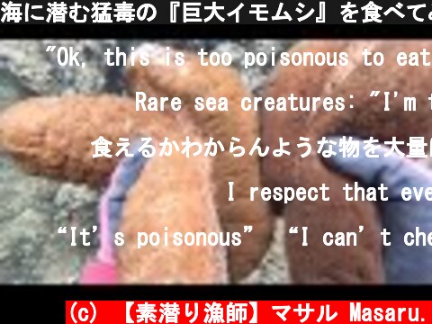 海に潜む猛毒の『巨大イモムシ』を食べてみると。。。【ゲテモノ】  (c) 【素潜り漁師】マサル Masaru.