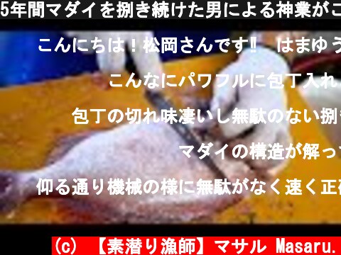 5年間マダイを捌き続けた男による神業がこちら  (c) 【素潜り漁師】マサル Masaru.