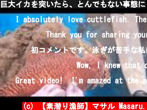 巨大イカを突いたら、とんでもない事態に  (c) 【素潜り漁師】マサル Masaru.