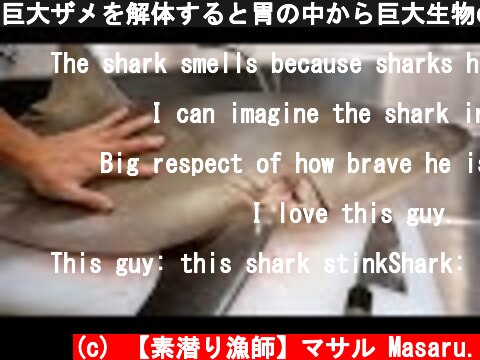 巨大ザメを解体すると胃の中から巨大生物の一部が・・・  (c) 【素潜り漁師】マサル Masaru.