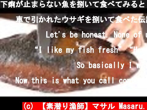 下痢が止まらない魚を捌いて食べてみると・・・  (c) 【素潜り漁師】マサル Masaru.