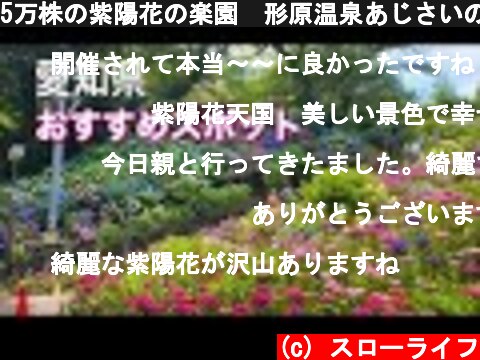 5万株の紫陽花の楽園　形原温泉あじさいの里  (c) スローライフ