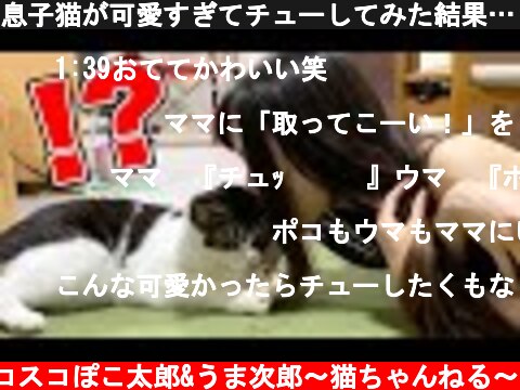 息子猫が可愛すぎてチューしてみた結果…！  (c) スコスコぽこ太郎&うま次郎〜猫ちゃんねる〜