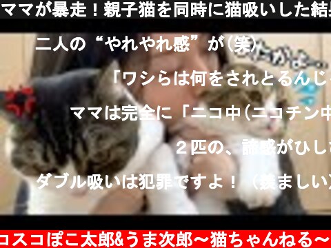 ママが暴走！親子猫を同時に猫吸いした結果…！！！  (c) スコスコぽこ太郎&うま次郎〜猫ちゃんねる〜