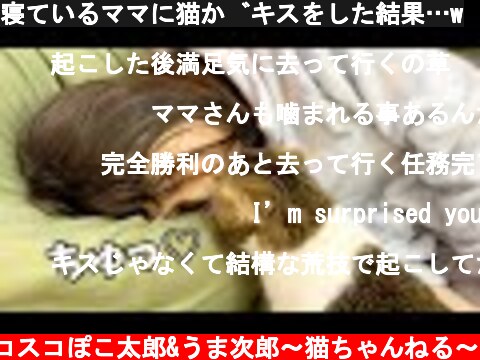寝ているママに猫がキスをした結果…w  (c) スコスコぽこ太郎&うま次郎〜猫ちゃんねる〜