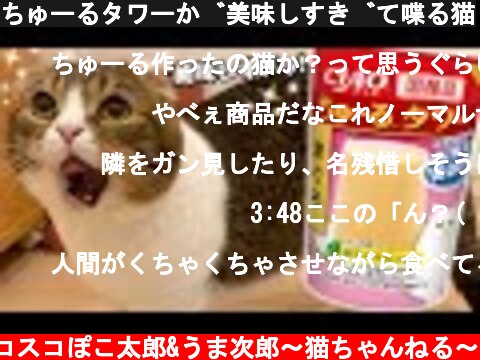 ちゅーるタワーが美味しすぎて喋る猫  (c) スコスコぽこ太郎&うま次郎〜猫ちゃんねる〜