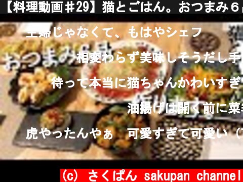 【料理動画♯29】猫とごはん。おつまみ６品作ります。巻かない簡単ロールキャベツ【猫動画】【おつまみ】  (c) さくぱん sakupan channel