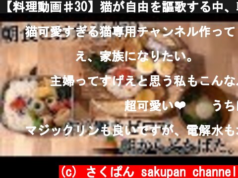 【料理動画♯30】猫が自由を謳歌する中、朝食とお弁当作り。作り置きゼロで朝からドタバタ【obento】【お弁当作り】  (c) さくぱん sakupan channel