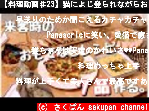 【料理動画♯23】猫によじ登られながらおもてなしレシピ７品を作る。【猫動画  (c) さくぱん sakupan channel