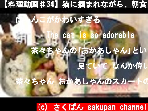 【料理動画♯34】猫に掴まれながら、朝食とお弁当を作っていく【桃色卵焼き】【obento】【猫動画】  (c) さくぱん sakupan channel