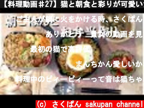 【料理動画♯27】猫と朝食と彩りが可愛いだし巻き弁当【お弁当作り】【猫動画】【obento】  (c) さくぱん sakupan channel