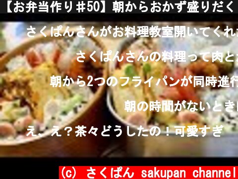 【お弁当作り♯50】朝からおかず盛りだくさん弁当。～ペラペラ文句をたれる猫～  (c) さくぱん sakupan channel