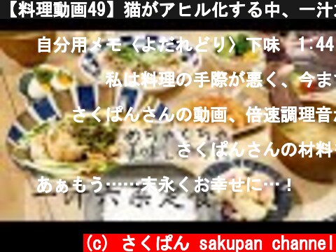 【料理動画49】猫がアヒル化する中、一汁六菜よだれ鶏定食を作る【猫動画】【English sub】  (c) さくぱん sakupan channel
