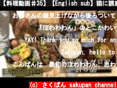 【料理動画♯35】【English sub】猫に誘惑されながら朝ごはんとお弁当作り。計８品【obento】【猫動画】  (c) さくぱん sakupan channel