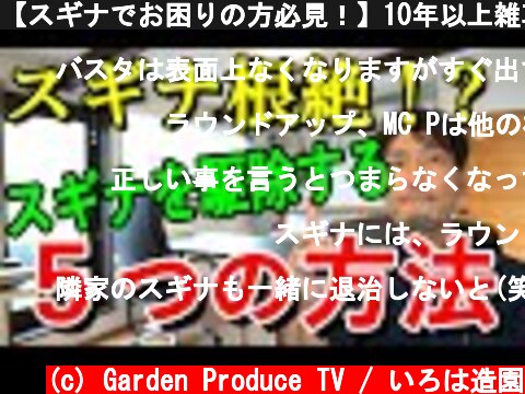 【スギナでお困りの方必見！】10年以上雑草対策をしてきて、辿り着いたスギナの対策方法を5つご紹介!  (c) Garden Produce TV / いろは造園