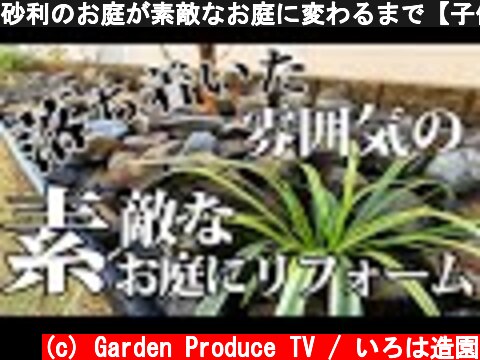 砂利のお庭が素敵なお庭に変わるまで【子供が怪我するお庭をリフォーム#2】  (c) Garden Produce TV / いろは造園