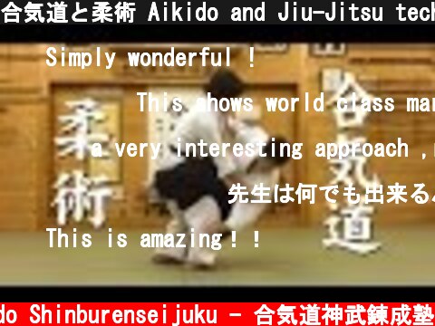 合気道と柔術 Aikido and Jiu-Jitsu techniques  (c) Aikido Shinburenseijuku - 合気道神武錬成塾