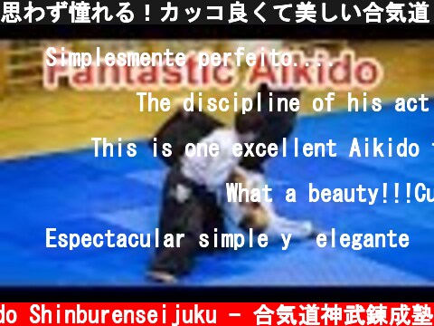 思わず憧れる！カッコ良くて美しい合気道 Fantastic Aikido !  (c) Aikido Shinburenseijuku - 合気道神武錬成塾