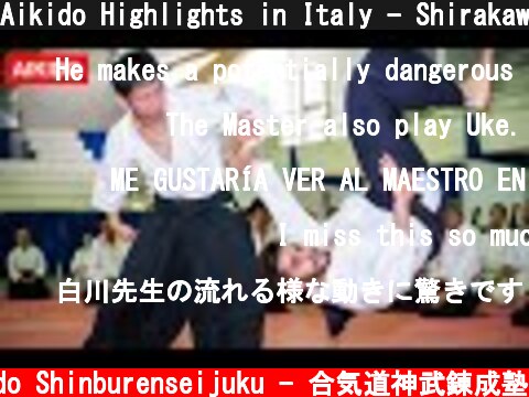 Aikido Highlights in Italy - Shirakawa Ryuji shihan  (c) Aikido Shinburenseijuku - 合気道神武錬成塾