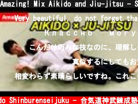 Amazing! Mix Aikido and Jiu-jitsu - Shirakawa Ryuji shihan  (c) Aikido Shinburenseijuku - 合気道神武錬成塾
