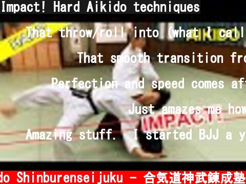Impact! Hard Aikido techniques  (c) Aikido Shinburenseijuku - 合気道神武錬成塾