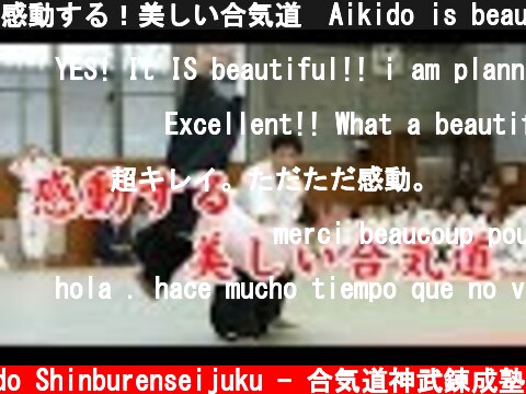 感動する！美しい合気道　Aikido is beautiful  (c) Aikido Shinburenseijuku - 合気道神武錬成塾
