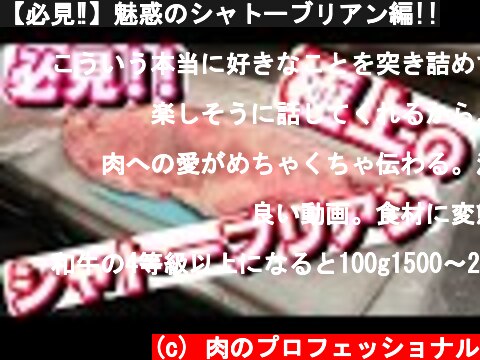 【必見‼】魅惑のシャトーブリアン編!!  (c) 肉のプロフェッショナル