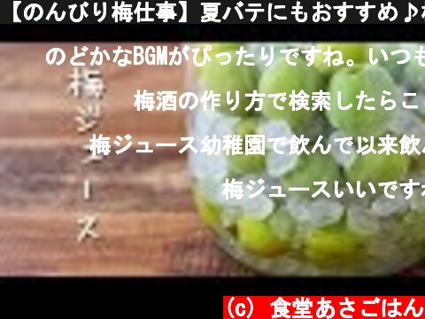 【のんびり梅仕事】夏バテにもおすすめ♪梅ジュース(シロップ)の作り方！  (c) 食堂あさごはん